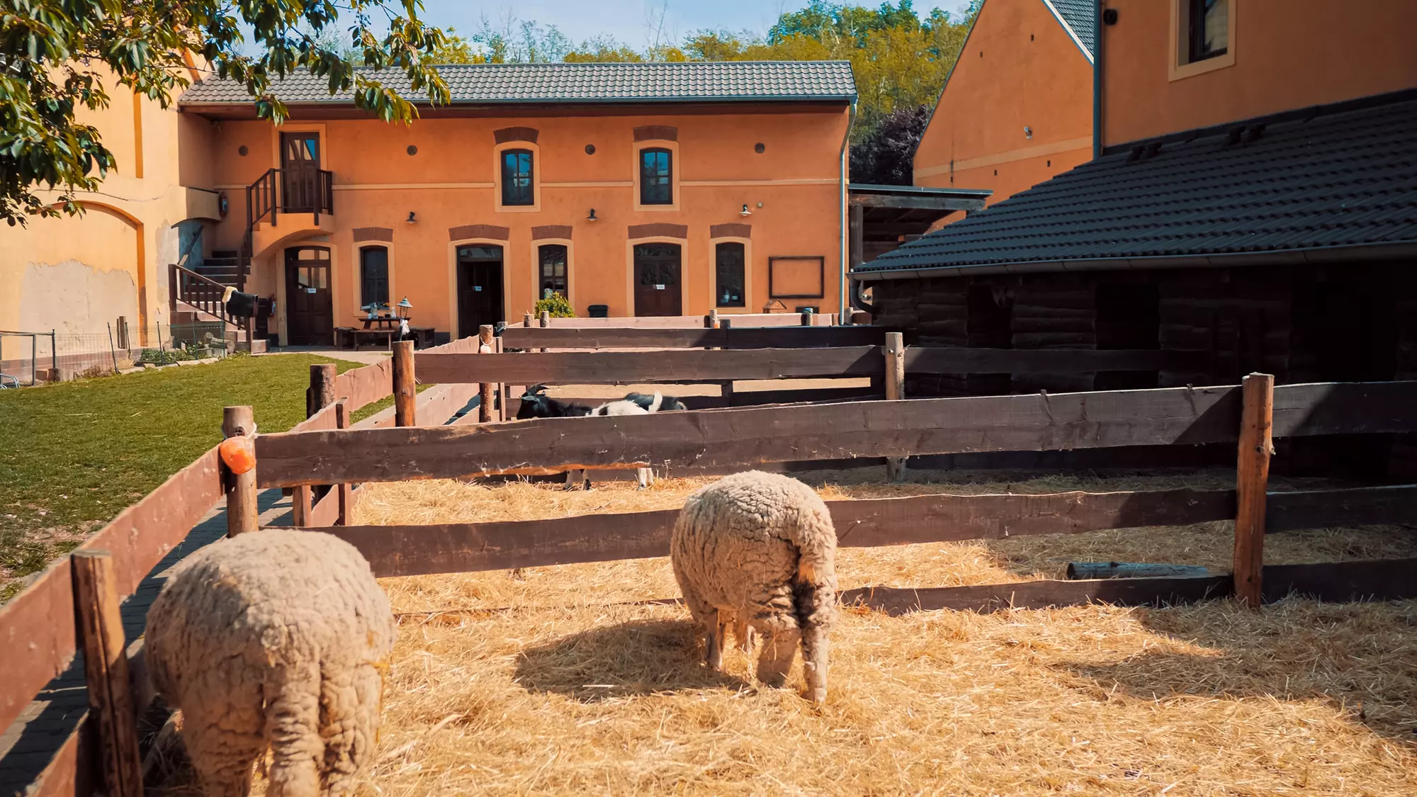 Selský dvůr Braňany